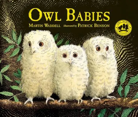Bebelușii bufniță - Owl Babies