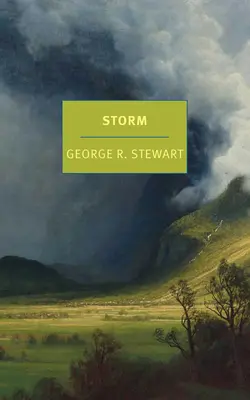 Furtuna - Storm