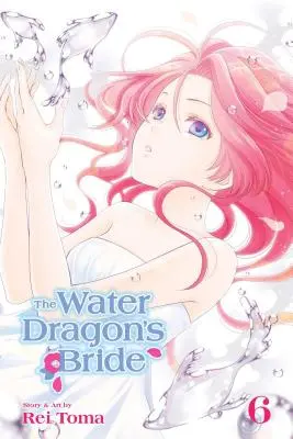 Mireasa dragonului de apă, Vol. 6 - The Water Dragon's Bride, Vol. 6