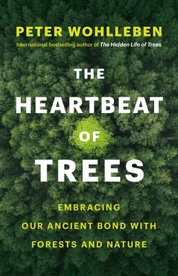 Bătăile inimii copacilor: Îmbrățișarea legăturii noastre străvechi cu pădurile și natura - The Heartbeat of Trees: Embracing Our Ancient Bond with Forests and Nature