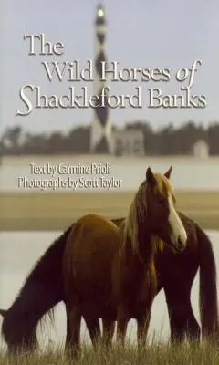 Caii sălbatici din Shackleford Banks - Wild Horses of Shackleford Banks