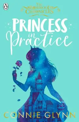 Prințesa în practică - Princess in Practice