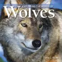 Explorarea lumii lupilor - Exploring the World of Wolves