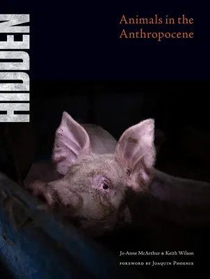 Ascuns: Animalele în Antropocen - Hidden: Animals in the Anthropocene