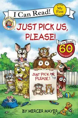 Doar alege-ne, te rog! - Just Pick Us, Please!