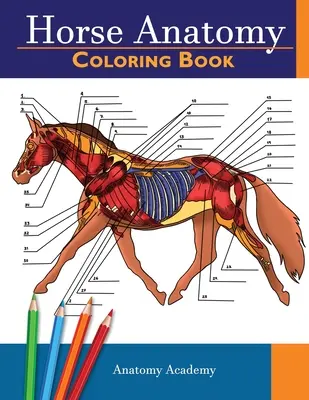 Cartea de colorat Anatomia calului: Carte de lucru colorată de anatomie ecvină autotestată incredibil de detaliată Cadou perfect pentru studenții veterinari, iubitorii de cai și adulți - Horse Anatomy Coloring Book: Incredibly Detailed Self-Test Equine Anatomy Color workbook Perfect Gift for Veterinary Students, Horse Lovers & Adult