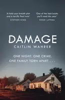 Damage - Un debut de nerefuzat și captivant din punct de vedere emoțional, cu o întorsătură pe care nu o vei vedea venind - Damage - An unputdownable and emotionally gripping debut with a twist you won't see coming