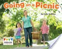 Mergem la picnic - Going on a Picnic