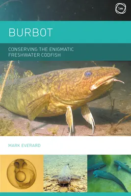 Burbot: Conservarea enigmaticului cod de apă dulce - Burbot: Conserving the Enigmatic Freshwater Codfish