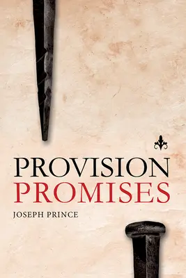 Promisiuni de provizie - Provision Promises