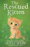Pisoi salvat - Rescued Kitten