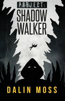 Proiect: Shadow Walker - Project: Shadow Walker