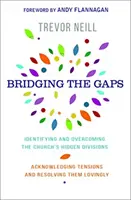 Reducerea decalajelor - Identificarea și depășirea diviziunilor ascunse ale bisericii noastre - Bridging the Gaps - Identifying and overcoming our church's hidden divisions