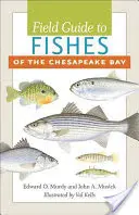Ghid de teren pentru peștii din Golful Chesapeake - Field Guide to Fishes of the Chesapeake Bay
