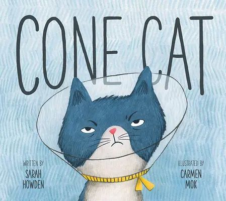 Pisica con - Cone Cat