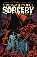 Aventuri înfricoșătoare în vrăjitorie - Chilling Adventures in Sorcery