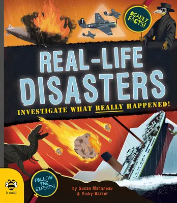 Dezastre din viața reală - Investighează ce s-a întâmplat cu adevărat! - Real-life Disasters - Investigate What Really Happened!