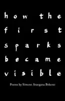Cum au devenit vizibile primele scântei - how the first sparks became visible