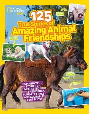 125 de povești adevărate de prietenie uimitoare cu animale - 125 True Stories of Amazing Animal Friendships