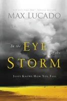 În ochiul furtunii: Isus știe cum te simți - In the Eye of the Storm: Jesus Knows How You Feel