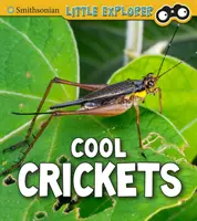 Greieri răcoroși - Cool Crickets