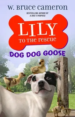 Lily la salvare: Câine Câine Gâscă - Lily to the Rescue: Dog Dog Goose