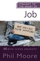 Direct la inima lui Iov: 60 de informații de dimensiuni reduse - Straight to the Heart of Job: 60 Bite-Sized Insights