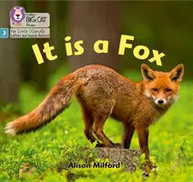 It is a Fox - Faza 3 - It is a Fox - Phase 3