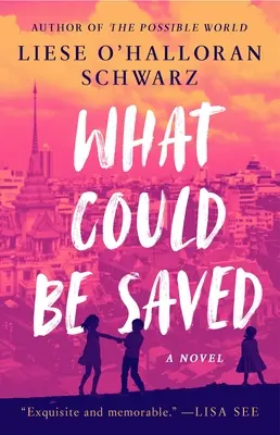 Ce ar putea fi salvat - What Could Be Saved