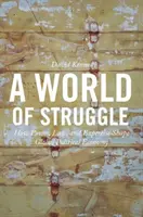 O lume a luptei: How Power, Law, and Expertise Shape Global Political Economy - A World of Struggle: How Power, Law, and Expertise Shape Global Political Economy