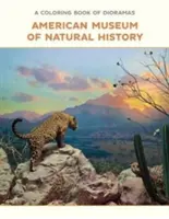 O carte de colorat de diorame - A Coloring Book of Dioramas