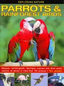 Explorarea naturii: Papagali și păsări din pădurea tropicală: Macaws, Hummingbirds, Flamingos, Toucans și alte specii exotice, toate prezentate în peste 180 de imagini - Exploring Nature: Parrots & Rainforest Birds: Macaws, Hummingbirds, Flamingos, Toucans and Other Exotic Species, All Shown in More Than 180 Pictures
