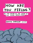 Cum vă simțiți? - În centrul interiorului minții creierului uman - How Are You Feeling? - At the Centre of the Inside of The Human Brain's Mind