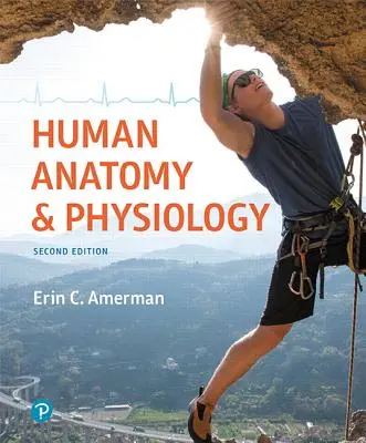Anatomie și fiziologie umană - Human Anatomy & Physiology