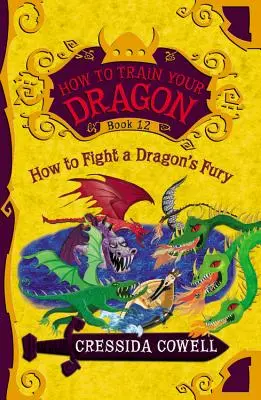 Cum să-ți dresezi dragonul: Cum să lupți cu furia unui dragon - How to Train Your Dragon: How to Fight a Dragon's Fury