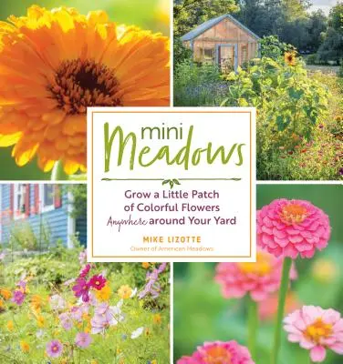 Mini pajiști: Cultivă un mic petic de flori colorate oriunde în curtea ta - Mini Meadows: Grow a Little Patch of Colorful Flowers Anywhere Around Your Yard
