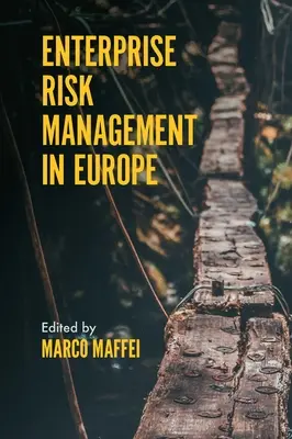 Gestionarea riscurilor întreprinderii în Europa - Enterprise Risk Management in Europe