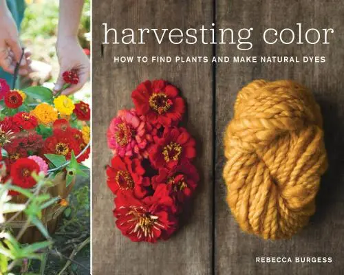 Harvesting Color: Cum să găsești plante și să faci coloranți naturali - Harvesting Color: How to Find Plants and Make Natural Dyes