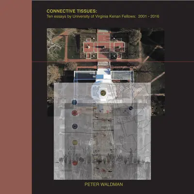 Țesuturi conjunctive: Zece eseuri ale bursierilor Kenan ai Universității din Virginia 2001-2016 - Connective Tissues: Ten Essays by University of Virginia Kenan Fellows 2001-2016