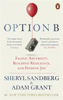 Opțiunea B - Înfruntarea adversității, dezvoltarea rezistenței și găsirea bucuriei - Option B - Facing Adversity, Building Resilience, and Finding Joy