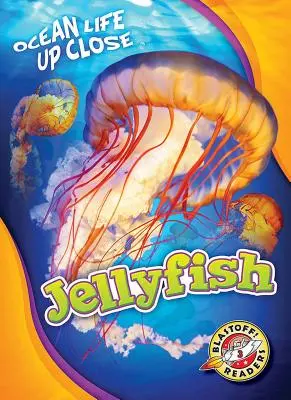 Meduze - Jellyfish