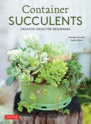 Succulente în container: Idei creative pentru începători - Container Succulents: Creative Ideas for Beginners