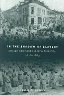 În umbra sclaviei: Afro-americanii din New York City, 1626-1863 - In the Shadow of Slavery: African Americans in New York City, 1626-1863