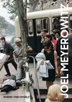 Joel Meyerowitz: Unde mă aflu: Retrospectiva unei vieți - Joel Meyerowitz: Where I Find Myself: A Lifetime Retrospective