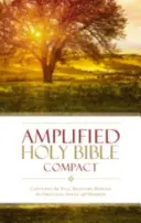Biblia Amplificată-Am-Compact: Captează semnificația completă din spatele originalului grecesc și ebraic - Amplified Bible-Am-Compact: Captures the Full Meaning Behind the Original Greek and Hebrew