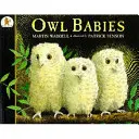 Bebelușii bufniță - Owl Babies