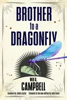 Fratele unei libelule - Brother to a Dragonfly