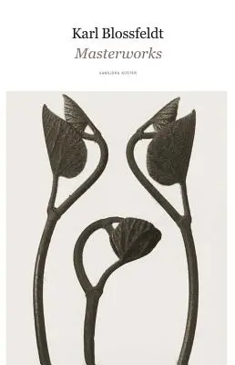Karl Blossfeldt: Capodopere - Karl Blossfeldt: Masterworks