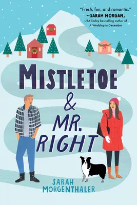 Vâscul și domnul potrivit - Mistletoe and Mr. Right