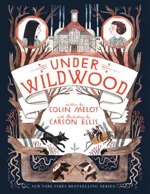 Sub Wildwood - Under Wildwood